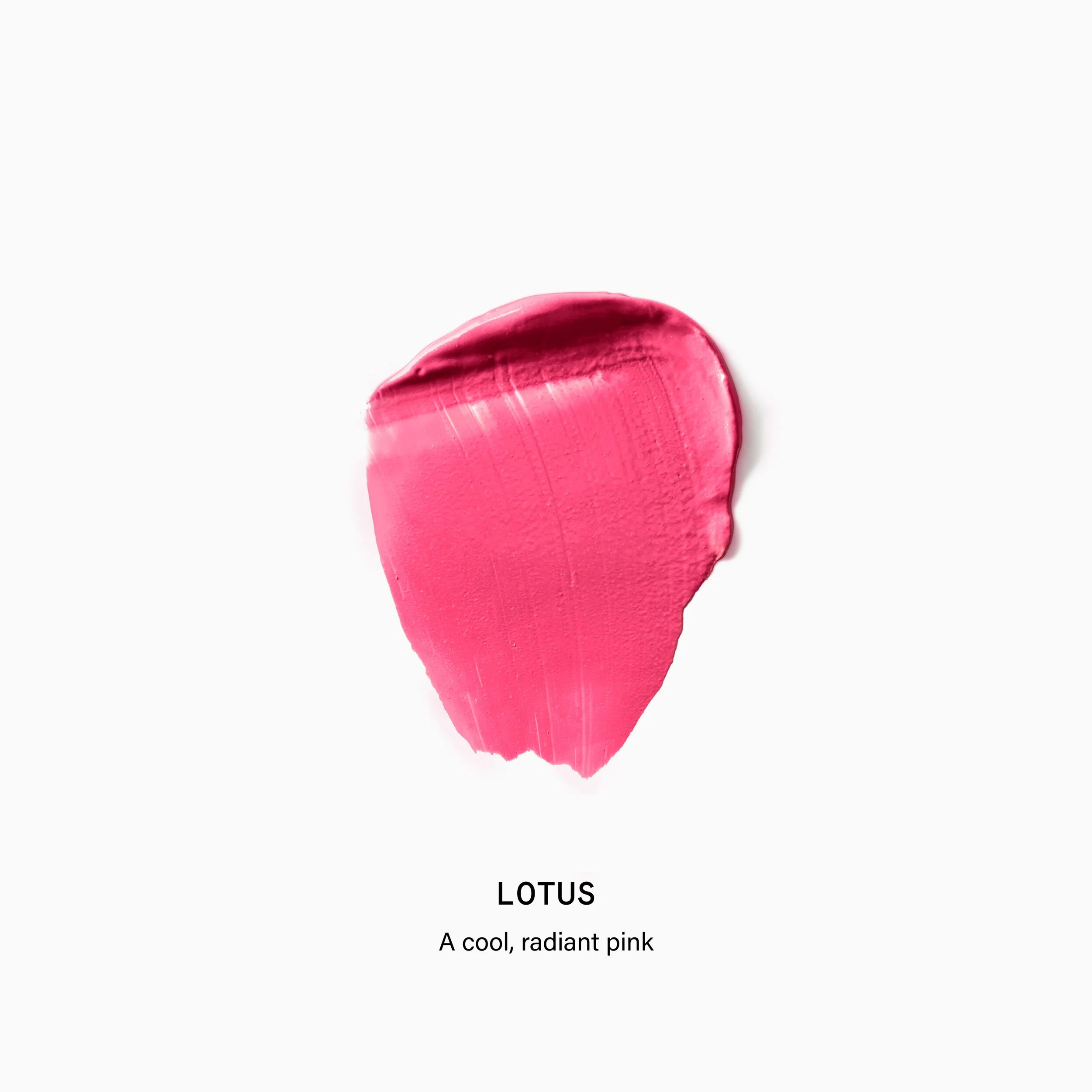 Supercheek Duo Silk Dip rouge med dubbeländad borste