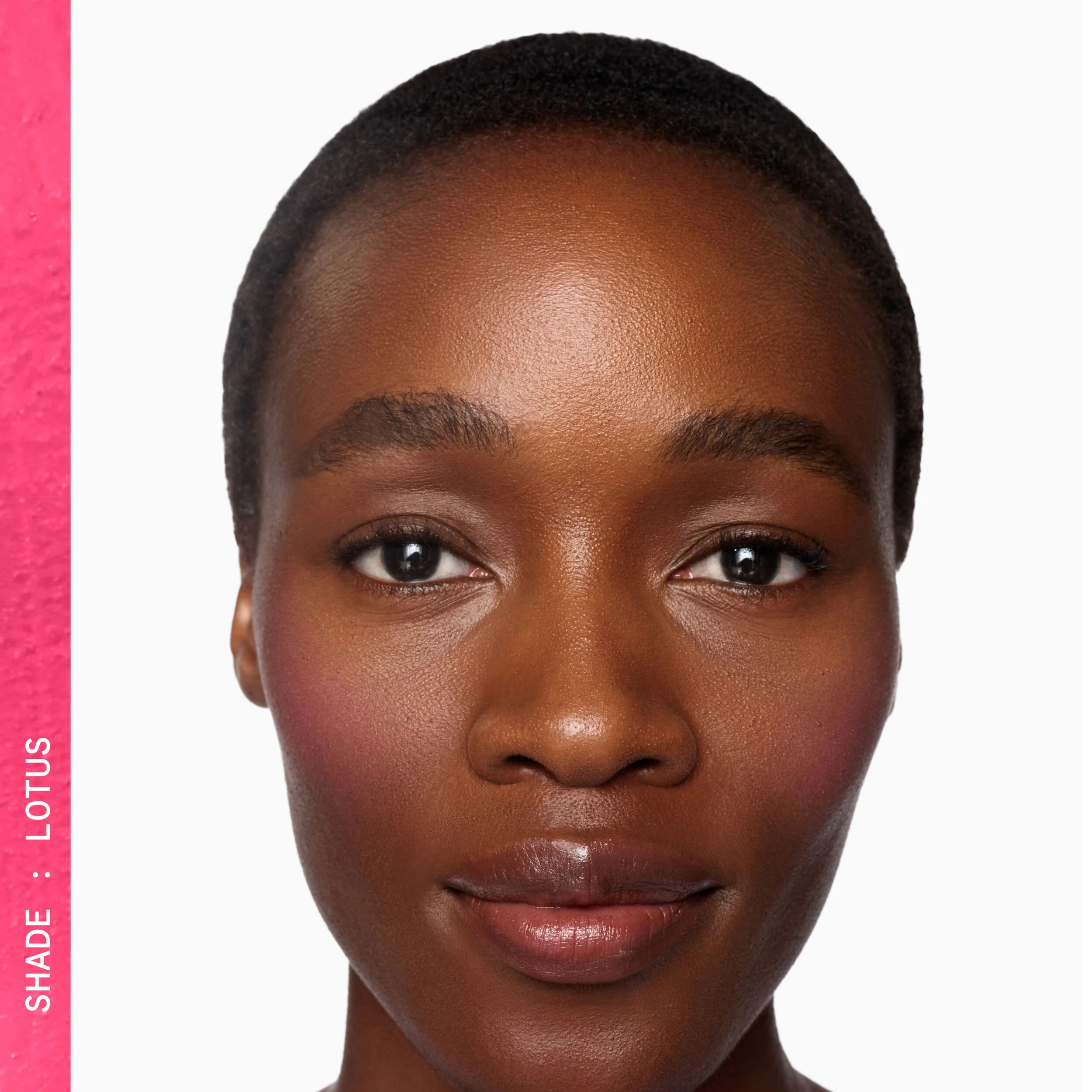 Supercheek Duo Silk Dip rouge med dubbeländad borste