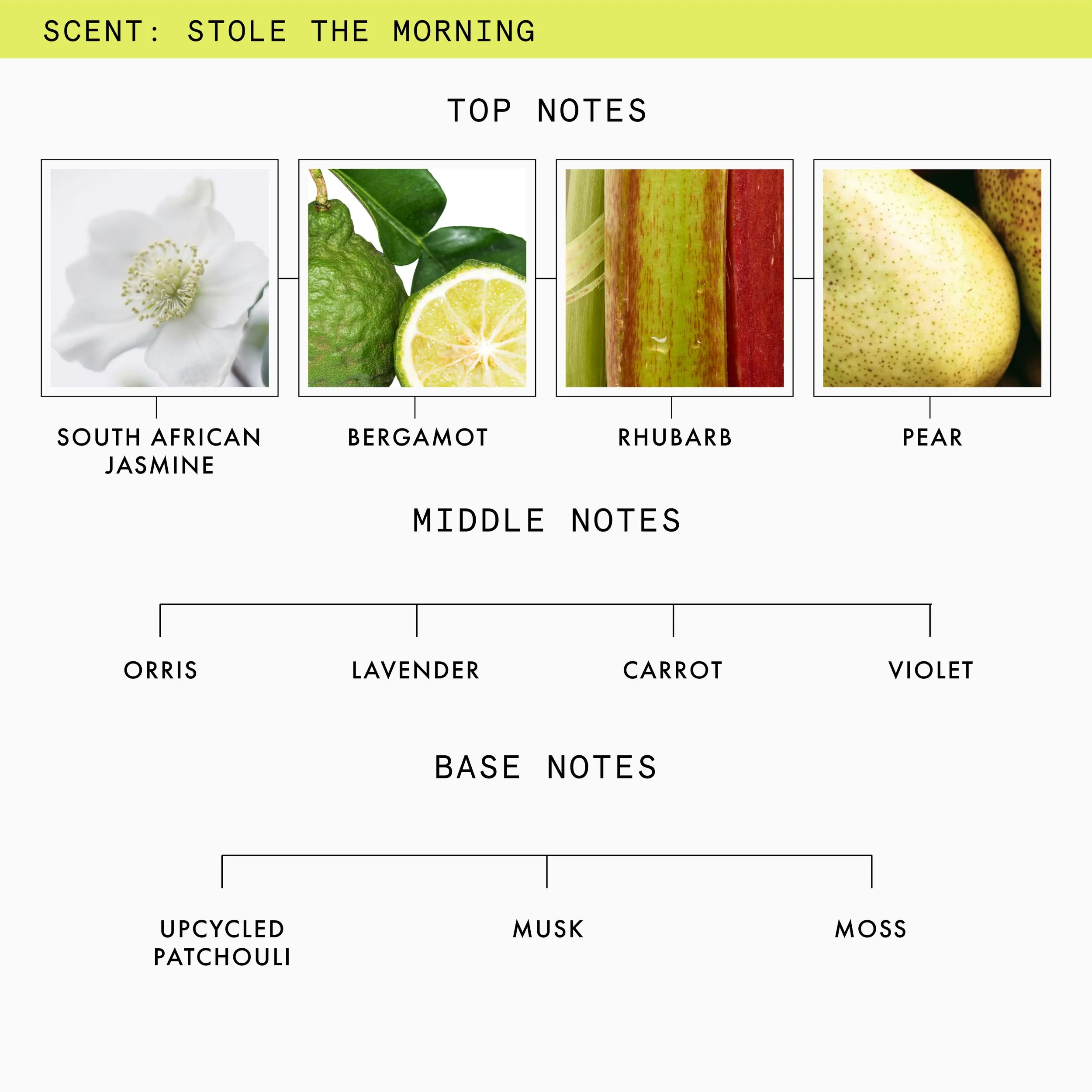 Stole The Morning Eau De Parfum – Floral, Airy All-Season Scent